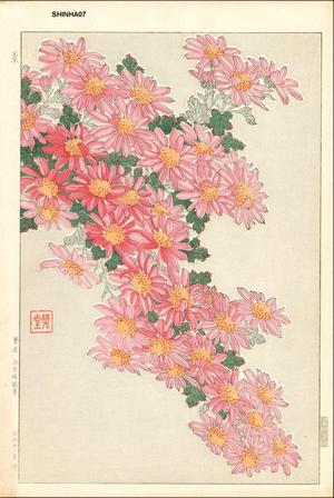 Kawarazaki Shodo: Pink Mum Cascade - Japanese Art Open Database