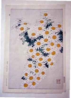 Kawarazaki Shodo: Unknown, Dasies - Japanese Art Open Database