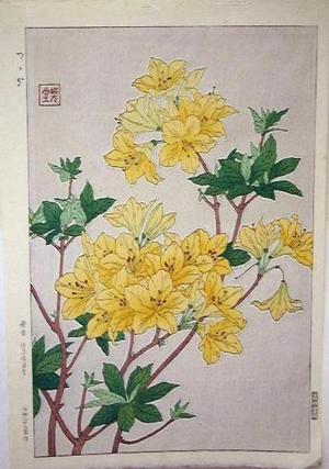 Kawarazaki Shodo: Unknown, Rhododendron - Japanese Art Open Database