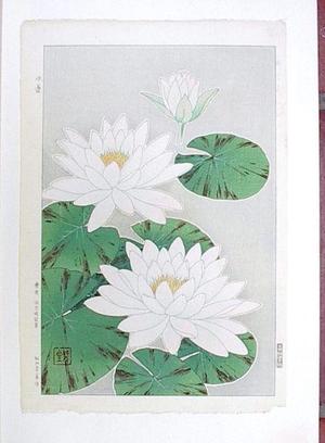 Kawarazaki Shodo: Water Lilies - Japanese Art Open Database