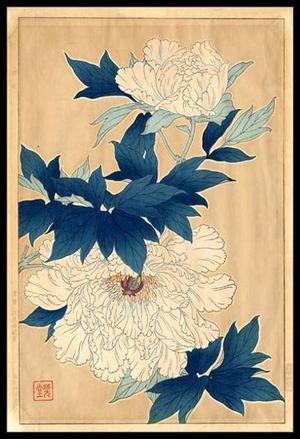 Japanese Print "White Peonies" by Kawarazaki Shodo (河原崎奨堂)