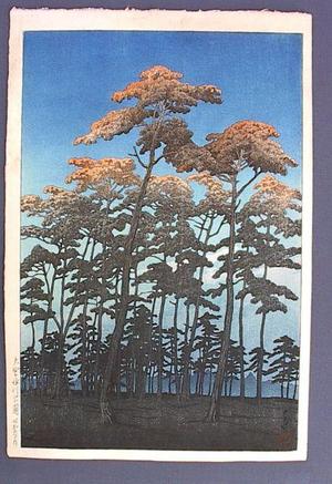 Kawase Hasui: Hikawa Park at Omiya - Japanese Art Open Database