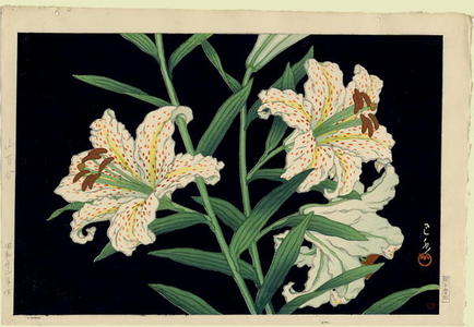 Kawase Hasui: Lilies against a deep black background - Japanese Art Open Database