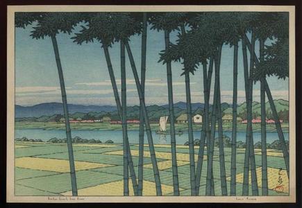 川瀬巴水: Bamboo Forest, Tama River - Japanese Art Open Database