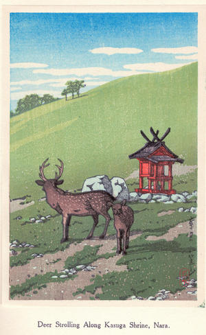 Kawase Hasui: Deer Strolling along Kasuga Shrine, Nara - Japanese Art Open Database