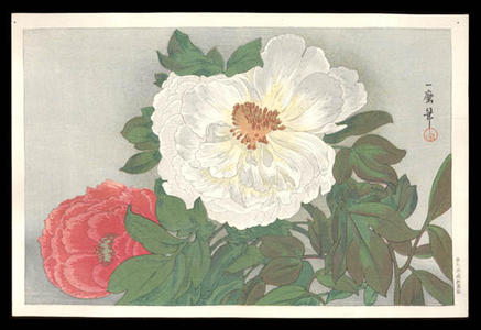 織田一磨: Peonies - Japanese Art Open Database