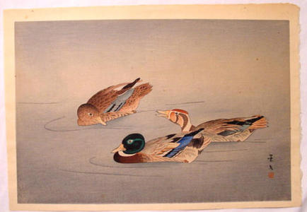 Keibun Matsumoto: Unknown, ducks in a pond - Japanese Art Open Database