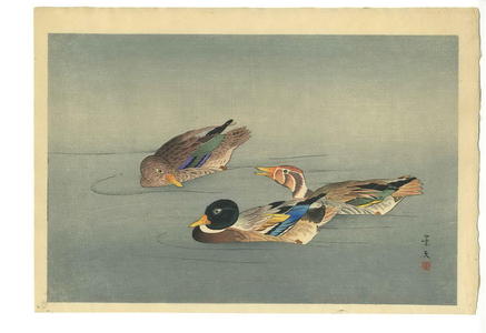 Keibun Matsumoto: Unknown, ducks in a pond - Japanese Art Open Database