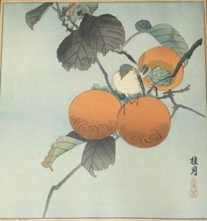 Keigetsu: Unknown birds and fruit - Japanese Art Open Database