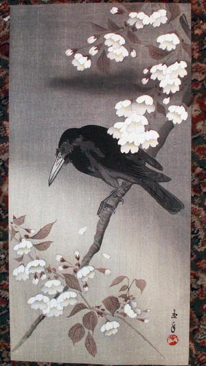 今尾景年: Crow and Cherry Blossoms - Japanese Art Open Database