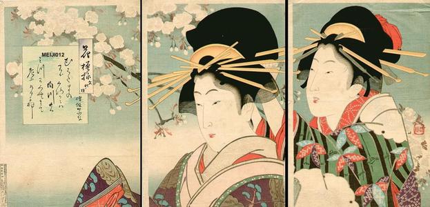 Kobayashi Kiyochika: Two Bijin in Spring - Japanese Art Open Database
