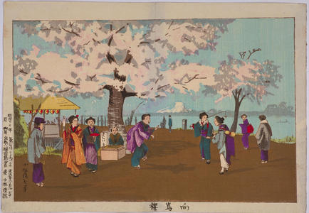 小林清親: Cherry Blossoms at Mukojima — 向嶋桜 - Japanese Art Open Database