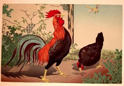 小林清親: Chicken and Dragonfly — 鶏と蜻蛉 - Japanese Art Open Database
