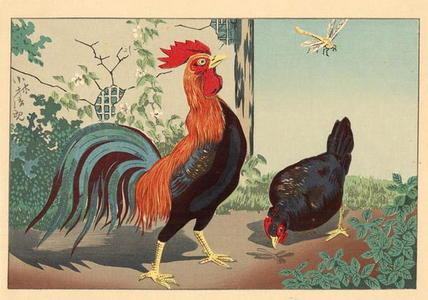 Kobayashi Kiyochika: Chicken and Dragonfly — 鶏と蜻蛉 - Japanese Art Open Database