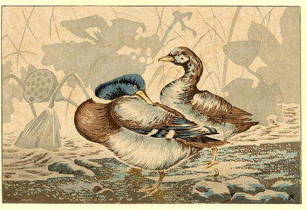 小林清親: Ducks and Dead Lotus — 鴨と枯蓮 - Japanese Art Open Database