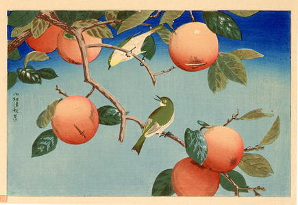 小林清親: Persimmon tree and a pair of Greenfinches - Japanese Art Open Database