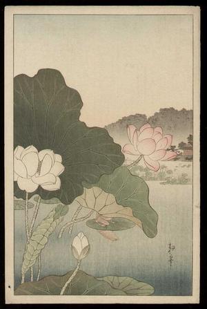 古峰: A Frog on Lotus Leaf - Japanese Art Open Database
