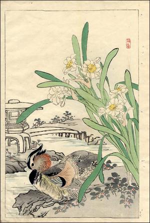幸野楳嶺: Mandarin Duck and Narcissus - Japanese Art Open Database