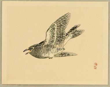 Kono Bairei: Cuckoo - Japanese Art Open Database