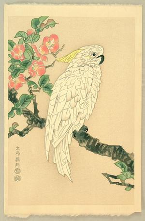 Kotozuka Eiichi: Parrot and Quince - Japanese Art Open Database