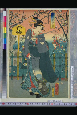 Toyohara Kunichika: 2 - Japanese Art Open Database