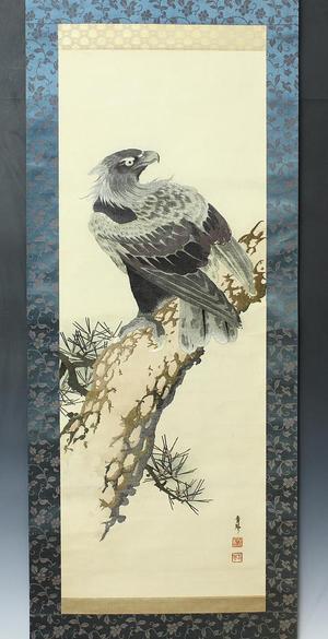 Masugi Seikin: Eagle on Pine Tree - Japanese Art Open Database