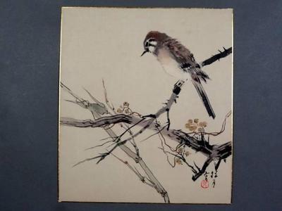 Matsubayashi Keigetsu: Sparrow — 雀 - Japanese Art Open Database