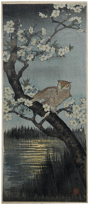 Narazaki Eisho: Owl and Cherry - Japanese Art Open Database