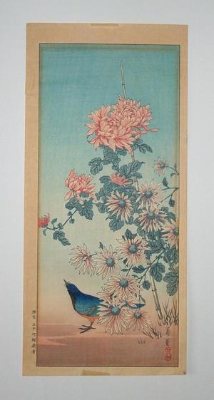 Nishimura Hodo: Blue Bird Chrysanthemum and Aste - Japanese Art Open Database