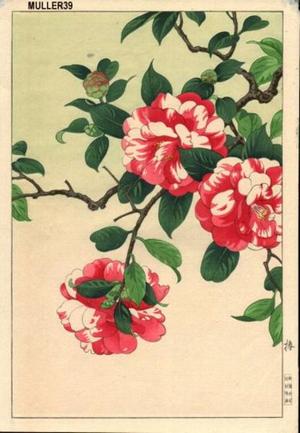 Nishimura Hodo: Camellia - Japanese Art Open Database