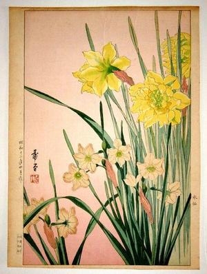 Nishimura Hodo: Daffodils - Japanese Art Open Database