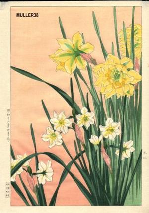 Nishimura Hodo: Daffodils - Japanese Art Open Database