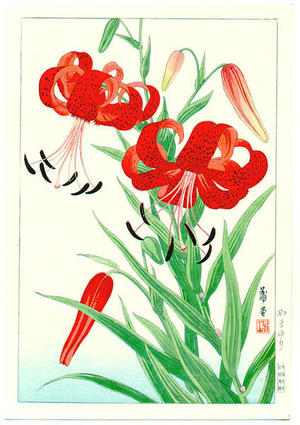 Nishimura Hodo: Lilies - Japanese Art Open Database