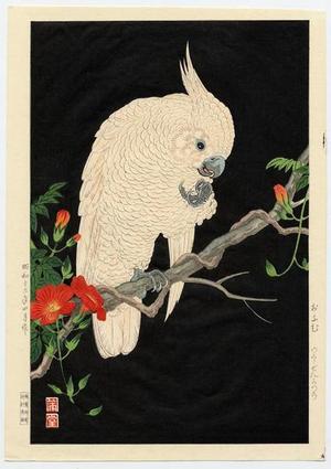 Nishimura Hodo: Omu, Parrot - Japanese Art Open Database