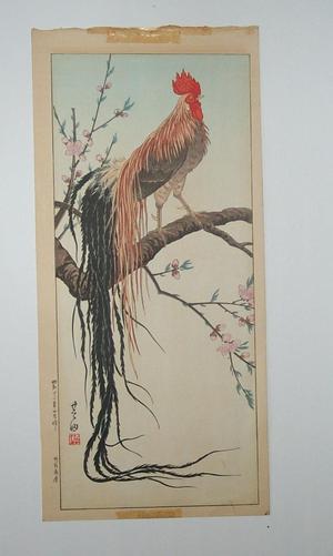 Nishimura Hodo: Onaga-dori - Japanese Art Open Database