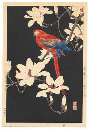 Nishimura Hodo: Parrot on a branch of magnolia - Japanese Art Open Database