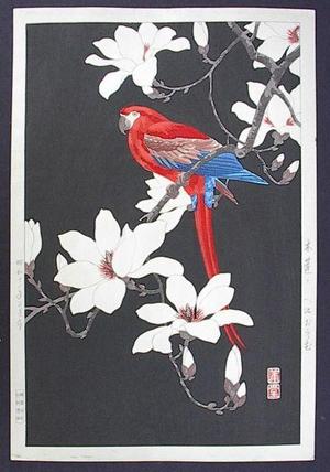 Nishimura Hodo: Parrot on a branch of magnolia - Japanese Art Open Database