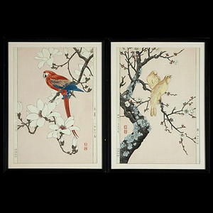 Nishimura Hodo: Parrot on a branch of magnolia- V2 - Japanese Art Open Database