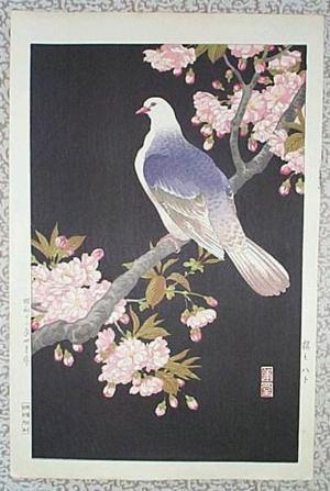 Nishimura Hodo: Pigeon - Japanese Art Open Database