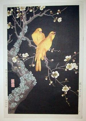 Nishimura Hodo: Plum Blossoms and Canaries - Japanese Art Open Database