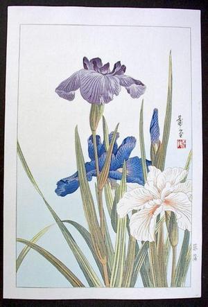 Nishimura Hodo: Unknown, Iris - Japanese Art Open Database