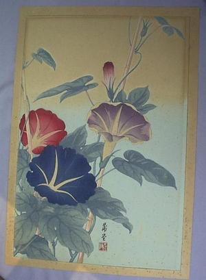 Nishimura Hodo: Unknown, morning-glory flowers - Japanese Art Open Database