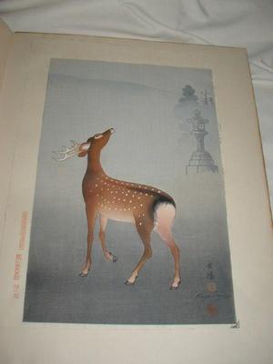 向陽: Stag and Lantern - Japanese Art Open Database