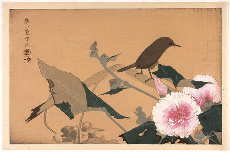 Rakusan Tsuchiya: Bird and flowers - Japanese Art Open Database