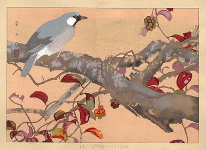 Rakusan Tsuchiya: Bird on Branch - Japanese Art Open Database