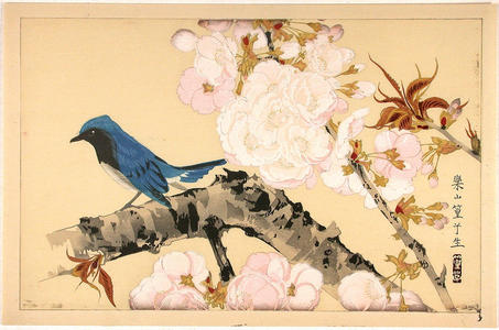 Rakusan Tsuchiya: Bird on a branch - Japanese Art Open Database