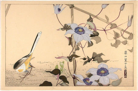 Rakusan Tsuchiya: Bird on ground and flowers - Japanese Art Open Database