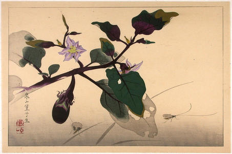 Rakusan Tsuchiya: Crickets and Flowers - Japanese Art Open Database