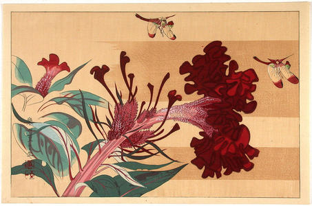Rakusan Tsuchiya: Dragonflies and flowers - Japanese Art Open Database