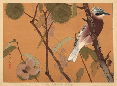 Rakusan Tsuchiya: Early Autumn - Japanese Art Open Database